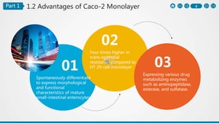 4Part 1 1.2 Advantages of Caco-2 Monolayer
01
Spontaneously differentiate
to express morphological
and functional
characteristics of mature
small-intestinal enterocytes
02
Four times higher in
trans-epithelial
resistance compared to
HT 29-cell monolayer 03
Expressing various drug
metabolizing enzymes
such as aminopeptidase,
esterase, and sulfatase.
 