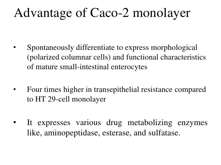 caco2 final ppt the reason that metabolizing cells are small in size is because