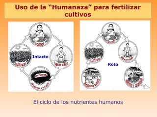 Uso de la “Humanaza” para fertilizar
             cultivos




    Intacto
                                 Roto




     El ciclo de los nutrientes humanos
 