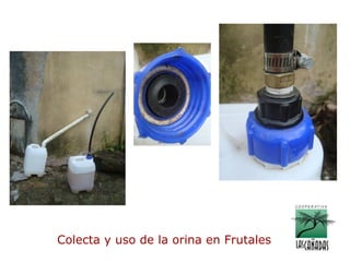 Colecta y uso de la orina en Frutales
 