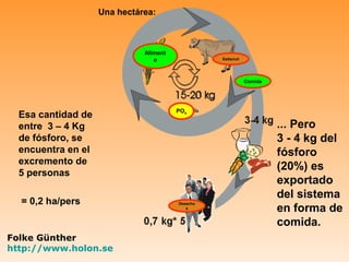 Una hectárea:



                              Aliment
                                 o                Estiercol




                                                              Comida




                                        PO4
  Esa cantidad de
  entre 3 – 4 Kg                                                       ... Pero
  de fósforo, se                                                       3 - 4 kg del
  encuentra en el                                                      fósforo
  excremento de
                                                                       (20%) es
  5 personas
                                                                       exportado
                                                                       del sistema
  = 0,2 ha/pers
                                                                       en forma de
                                        Desecho
                                           s



                                                                       comida.
Folke Günther
http://www.holon.se
 
