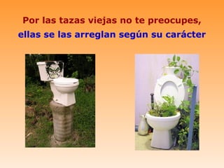 Por las tazas viejas no te preocupes,
ellas se las arreglan según su carácter
 