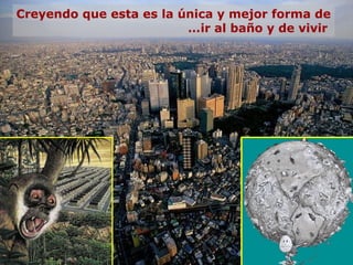 Creyendo que esta es la única y mejor forma de
                         …ir al baño y de vivir
 