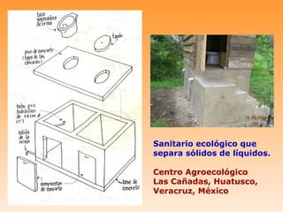 Sanitario ecológico que
separa sólidos de líquidos.

Centro Agroecológico
Las Cañadas, Huatusco,
Veracruz, México
 