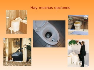 Hay muchas opciones
 