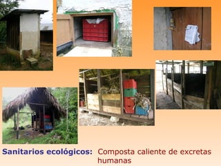 Sanitarios ecológicos: Composta caliente de excretas
                       humanas
 