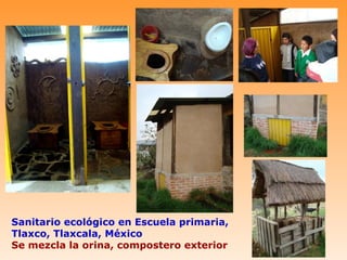Sanitario ecológico en Escuela primaria,
Tlaxco, Tlaxcala, México
Se mezcla la orina, compostero exterior
 