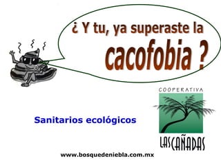 Sanitarios ecológicos


     www.bosquedeniebla.com.mx
 
