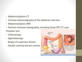• Abdominal/pelvic CT 
• Contrast ultrasonography of the abdomen and liver 
• Abdominal/pelvic MRI 
• Positron emission tomography, including fusion PET-CT scan 
Prosedur lain: 
• Colonoscopy 
• Sigmoidoscopy 
• Biopsy of suspicious lesions 
• Double-contrast barium enema 
 