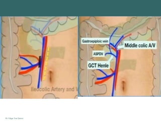 Dr. Edgar Yan Quiroz
 