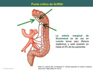 Dr. Edgar Yan Quiroz
Punto crítico de Griffith
La arteria marginal de
Drummond es de vez en
cuando tenue aquí (flexura
esplénica) y está ausente en
hasta el 5% de los pacientes
Elder K, Lashner BA, Al Solaiman F. Clinical approach to colonic ischemia.
Cleve Clin J Med 2009; 76: 401-9.
 
