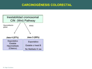 Dr. Edgar Yan Quiroz
Inestabilidad cromosomal
CIN (Wnt) Pathway
Jass 4 (57%) Jass 3 (20%)
Esporádico
Estable
Hipometilado
(Clásico)
Esporádico
Estable o Inest B
No Metilado K ras
Hipometilación
global
KRAS
CARCINOGÉNESIS COLORECTAL
 