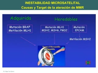 Dr. Edgar Yan Quiroz
INESTABILIDAD MICROSATELITAL
Causas y Target de la ateración de MMR
 