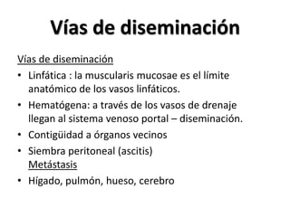 Vías de diseminación
Vías de diseminación
• Linfática : la muscularis mucosae es el límite
  anatómico de los vasos linfáticos.
• Hematógena: a través de los vasos de drenaje
  llegan al sistema venoso portal – diseminación.
• Contigüidad a órganos vecinos
• Siembra peritoneal (ascitis)
  Metástasis
• Hígado, pulmón, hueso, cerebro
 