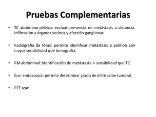 Pruebas Complementarias
• TC abdomino-pélvica: evaluar presencia de metástasis a distancia.
  Infiltración a órganos vecinos y afección ganglionar.

• Radiografía de tórax: permite identificar metástasis a pulmón con
  mayor sensibilidad que tomografía.

• RM abdominal: identificación de metástasis. > sensibilidad que TC.

• Eco- endoscopia: permite determinar grado de infiltración tumoral.

• PET scan
 