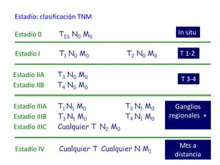 Estadío: clasificación TNM

Estadío 0      TIS N0 M0                       In situ

Estadío I      T1 N0 M0           T2 N0 M0      T 1-2

Estadío IIA    T3 N0 M0
                                                T 3-4
Estadío IIB    T4 N0 M0

Estadío IIIA   T1 N1 M0          T2 N1 M0      Ganglios
Estadío IIIB   T3 N1 M0          T4 N1 M0    regionales +
Estadío IIIC   Cualquier T N2 M0


Estadío IV     Cualquier T Cualquier N M1       Mts a
                                              distancia
 