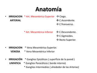 Anatomía
• IRRIGACION * Art. Mesentérica Superior  Ciego.
   ARTERIAL                               C.Ascendente.
                                          C.Transverso.

                * Art. Mesentérica Inferior    C.Descendente.
                                               C.Sigmoides.
                                               Recto Superior.

• IRRIGACION * Vena Mesentérica Superior.
    VENOSA   * Vena Mesentérica Inferior

• IRRIGACIÓN * Ganglios Epicólicos ( superficie de la pared )
   LINFATICA * Ganglios Paracólicos ( borde interno)
             * Ganglios Intermedios ( alrededor de las Arterias)
 