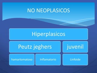 NO NEOPLASICOS


            Hiperplasicos

    Peutz jeghers              juvenil
hamartomatoso   Inflamatorio    Linfoide
 