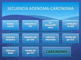 SECUENCIA ADENOMA-CARCINOMA
 