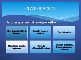 CLASIFICACIÓN
 