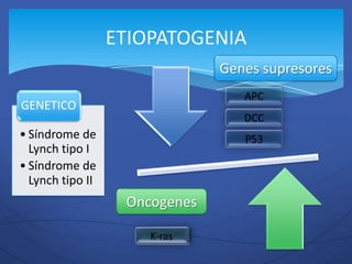 ETIOPATOGENIA
                               Genes supresores

GENETICO

• Síndrome de
  Lynch tipo I
• Síndrome de
  Lynch tipo II
                   Oncogenes
 