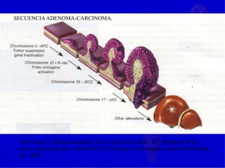 Nivatvongs S. Benign neoplasms of the colon and rectum. En Neoplasms of the
colon, rectum and anus. Gordon PH, Nivatvongs S (ed.) Quality Medical Publishing,
Inc. 2000.
SECUENCIAADENOMA-CARCINOMA.
 