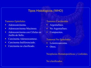 Tumores Epiteliales
 Adenocarcinoma.
 Adenocarcinoma Mucinoso.
 Adenocarcinoma con Células en
Anillo de Sello.
 Carcinoma Adenoescamoso.
 Carcinoma Indiferenciado.
 Carcinoma no clasificado.
Tumores Carcinoides
 Argentafines.
 No Argentafines.
 Compuestos.
Tumores No Epiteliales
 Leiomiosarcoma.
 Otros.
Neoplasias Hematopoiéticas y Linfoides.
No clasificados.
Tipos Histológicos (WHO)
 