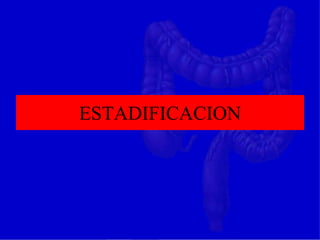 ESTADIFICACION
 