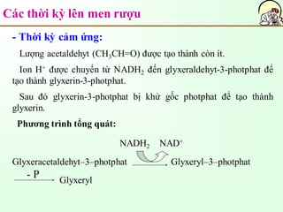 Các thời kỳ lên men rượu
- Thời kỳ cảm ứng:
Lượng acetaldehyt (CH3CH=O) được tạo thành còn ít.
Ion H+ được chuyển từ NADH2 đến glyxeraldehyt-3-photphat để
tạo thành glyxerin-3-photphat.
Sau đó glyxerin-3-photphat bị khử gốc photphat để tạo thành
glyxerin.
Phương trình tổng quát:
NADH2 NAD+
Glyxeracetaldehyt–3–photphat Glyxeryl–3–photphat
Glyxeryl
- P
 