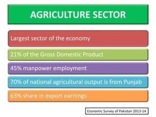 CHALLENGES IN PUNJAB AND PAKISTAN AGRICULTURE | PDF