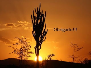 Obrigado!!!
 
