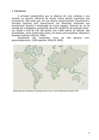 Cactáceas e Suclentas