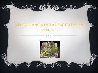 LA IMPORTANCIA DE LAS CACTÁCEAS EN 
MÉXICO. 
 
