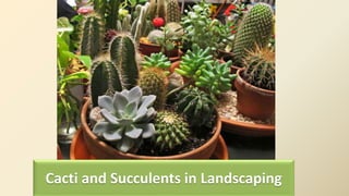 Janaharshini R (2018006015)
Cacti and Succulents in Landscaping
 