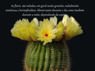 As flores são isoladas, em geral muito grandes, radialmente
simétricas e hermafroditas. Abrem tanto durante o dia como também
durante a noite, dependendo da espécie.
 