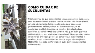 Não há dúvida de que as suculentas são apaixonantes! Suas cores,
seus aspectos e características são tão incríveis que fazem ela tão
em alta ultimamente.Outra grande razão para as pessoas
gostarem tanto dessas plantas é a baixa manutenção. As
suculentas são fácil de cuidar e é possível deixá-las lindas e
saudáveis o ano todo!Mas isso também não quer dizer que você
pode deixá-las o ano inteiro sem cuidados ok?Neste arquivo vamos
entender os principais pontos de como cuidar as suculentas e
deixá-las lindas o ano inteiro! As dicas a seguir são simples e
fáceis, mas fará toda a diferença em quão bem suas suculentas
sobreviverão!
COMO CUIDAR DE
SUCULENTAS
Como cuidar de suculentas
 