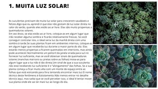 As suculentas precisam de muita luz solar para crescerem saudáveis e
felizes.Algo que eu aprendi é que elas não gostam de luz solar direta no
calor do verão, quando eles estão ao ar livre. Elas são muito propensas a
queimaduras solares.
Em vez disso, se elas estão ao ar livre, coloque-as em algum lugar que
irão receber alguma sombra e ficarão relativamente frescas. Se você
conseguir controlar isto, o ideal seria luz da manhã direta com uma
sombra à tarde.Se suas plantas ficam em ambientes internos, coloque-as
em algum lugar que receberão luz durante a maior parte do dia. Elas
estarão menos propensas a ficarem queimadas em interiores, mas ainda
pode acontecer.Normalmente um peitoril da janela virada para sul irá
fornecer luz suficiente, mas se você observar sinais de queimaduras
solares (manchas marrons ou pretas sobre as folhas) mova-as para
algum lugar que a luz não é tão direta.Um sinal de que a sua suculenta
não está recebendo luz suficiente é o “alongamento” das folhas. Se a sua
planta começa a ficar muito alta com um monte de espaço entre as
folhas que está esticando para fora tentando encontrar mais luz.O nome
técnico deste fenômeno é Estiolamento.Não iremos entrar no detalhe
técnico aqui, mas saiba que se você perceber isso, o ideal é tentar mover
sua planta onde ele vai ter mais luz ao longo do dia.
1. MUITA LUZ SOLAR!
 