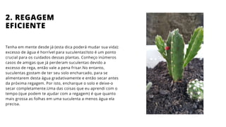 Tenha em mente desde já (esta dica poderá mudar sua vida):
excesso de água é horrível para suculentas!Isto é um ponto
crucial para os cuidados dessas plantas. Conheço inúmeros
casos de amigas que já perderam suculentas devido a
excesso de rega, então vale a pena frisar.No entanto,
suculentas gostam de ter seu solo encharcado, para se
alimentarem desta água gradativamente e então secar antes
da próxima regagem. Por isto, encharque o solo e deixe-o
secar completamente.Uma das coisas que eu aprendi com o
tempo (que podem te ajudar com a regagem) é que quanto
mais grossa as folhas em uma suculenta a menos água ela
precisa.
2. REGAGEM
EFICIENTE
 