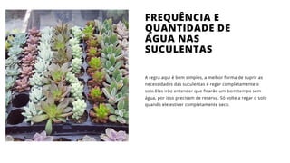 A regra aqui é bem simples, a melhor forma de suprir as
necessidades das suculentas é regar completamente o
solo.Elas irão entender que ficarão um bom tempo sem
água, por isso precisam de reserva. Só volte a regar o solo
quando ele estiver completamente seco.
FREQUÊNCIA E
QUANTIDADE DE
ÁGUA NAS
SUCULENTAS
 