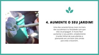 Uma das características mais incríveis
das suculentas é a facilidade com que
elas se propagam. É muito fácil
aumentar o seu jardim, simplesmente
tirando folhas de suas plantas e
plantando em um bom solo úmido
para elas crescerem.
4. AUMENTE O SEU JARDIM!
 