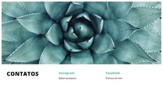 CONTATOS
@plantasdapam
Instagram
Plantas da Pam
Facebook
 