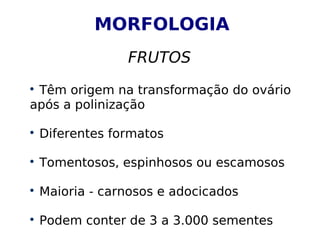 MORFOLOGIA
                 FRUTOS

 Têm origem na transformação do ovário
após a polinização


    Diferentes formatos


    Tomentosos, espinhosos ou escamosos


    Maioria - carnosos e adocicados


    Podem conter de 3 a 3.000 sementes
 