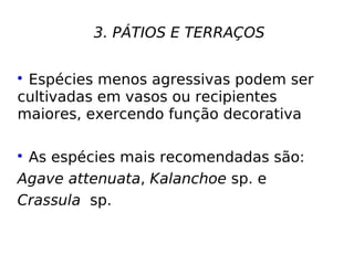 3. PÁTIOS E TERRAÇOS


 Espécies menos agressivas podem ser
cultivadas em vasos ou recipientes
maiores, exercendo função decorativa


 As espécies mais recomendadas são:
Agave attenuata, Kalanchoe sp. e
Crassula sp.
 
