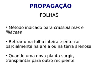 PROPAGAÇÃO
                FOLHAS


   Método indicado para crassuláceas e
liliáceas


 Retirar uma folha inteira e enterrar
parcialmente na areia ou na terra arenosa


  Quando uma nova planta surgir,
transplantar para outro recipiente
 