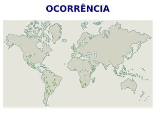 OCORRÊNCIA
 