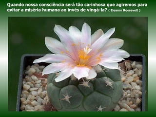 Quando nossa consciência será tão carinhosa que agiremos para evitar a miséria humana ao invés de vingá-la?  ( Eleanor Roosevelt ) 