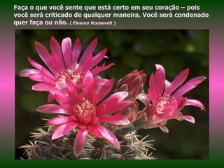 Faça o que você sente que está certo em seu coração – pois você será criticado de qualquer maneira. Você será condenado quer faça ou não.  ( Eleanor Roosevelt ) 