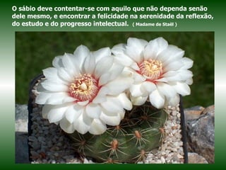 O sábio deve contentar-se com aquilo que não dependa senão dele mesmo, e encontrar a felicidade na serenidade da reflexão, do estudo e do progresso intelectual.  ( Madame de Staël ) 