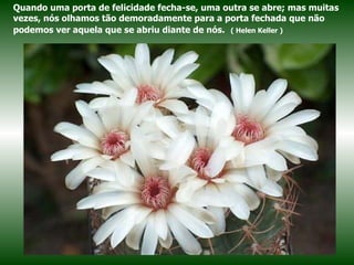 Quando uma porta de felicidade fecha-se, uma outra se abre; mas muitas vezes, nós olhamos tão demoradamente para a porta fechada que não podemos ver aquela que se abriu diante de nós.   ( Helen Keller ) 