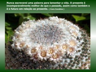 Nunca escreverei uma palavra para lamentar a vida. O presente é incomparavelmente melhor do que o passado, assim como também o é o futuro em relação ao presente.   ( Cora Coralina ) 
